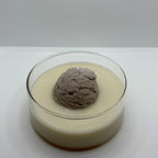 Ice Cream Candle