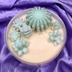 Succulent Bowl Candle