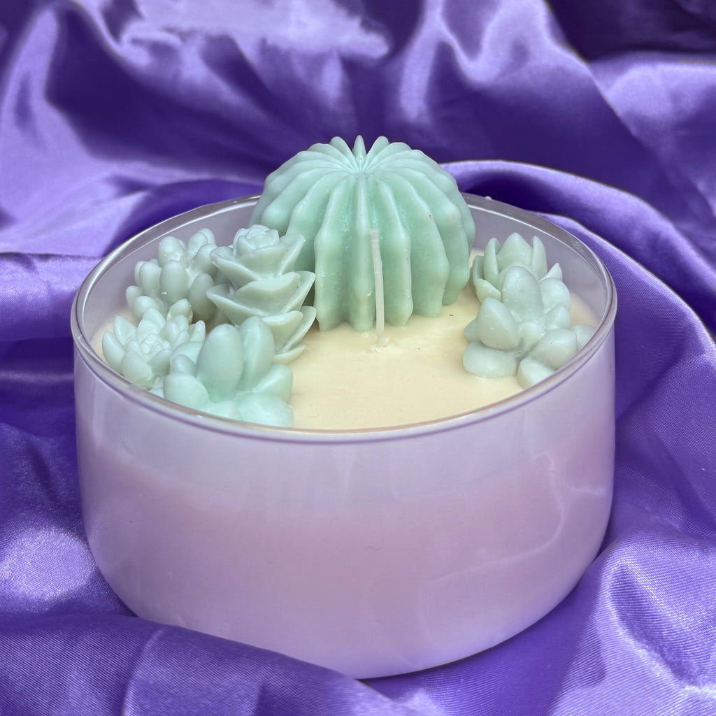 Succulent Bowl Candle