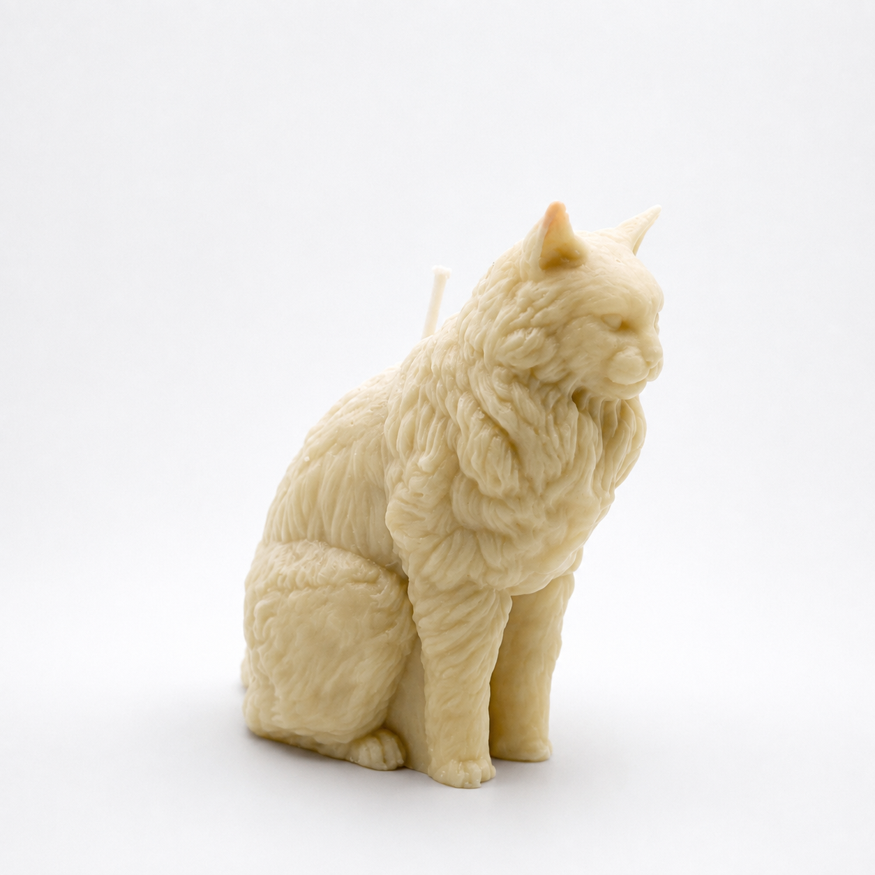 Cat Wax Melt