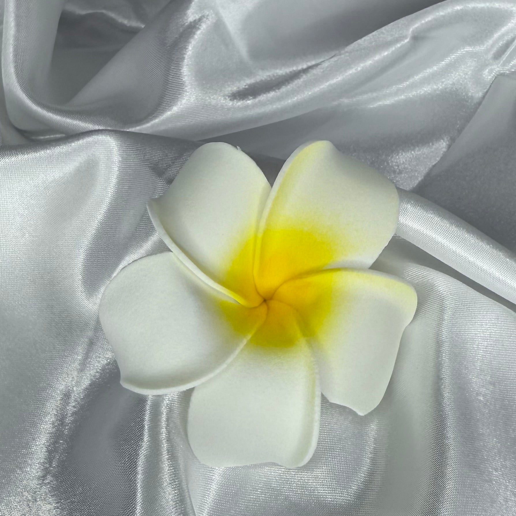 Frangipani Hair Clip