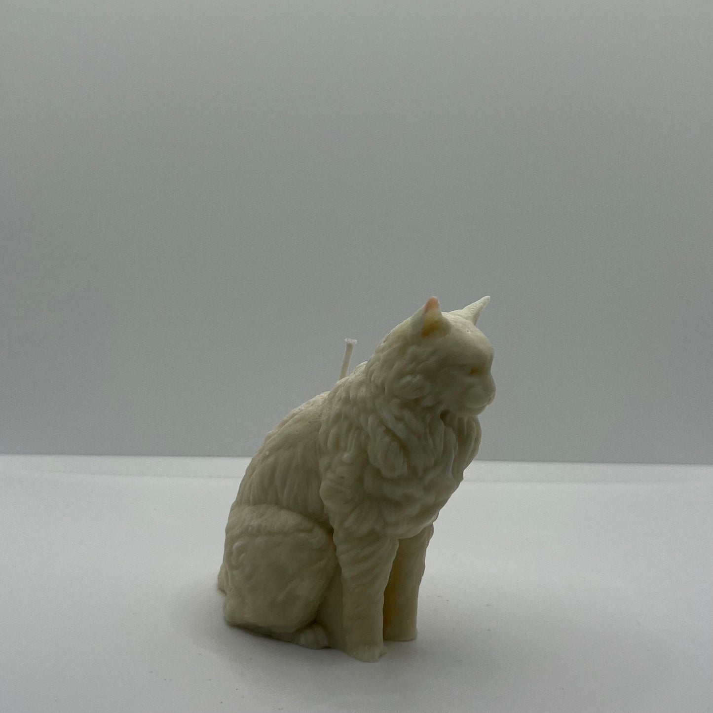Cat Wax Melt