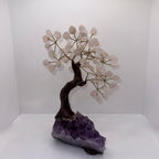 Rose Quartz Druze Crystal Chip Tree
