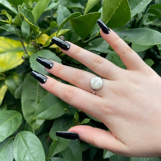 Shell Ring