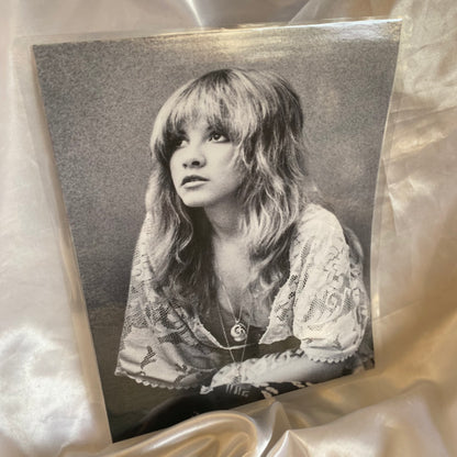 Stevie Nicks