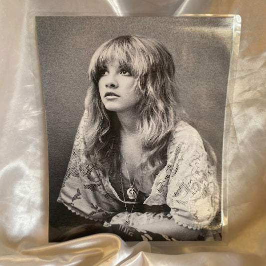 Stevie Nicks
